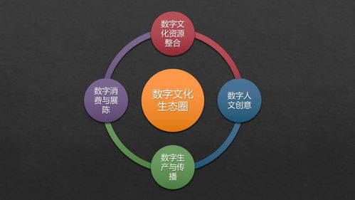 張曉明 跨越新文創(chuàng)時代專業(yè)鴻溝，構(gòu)建數(shù)字文化生態(tài)圈